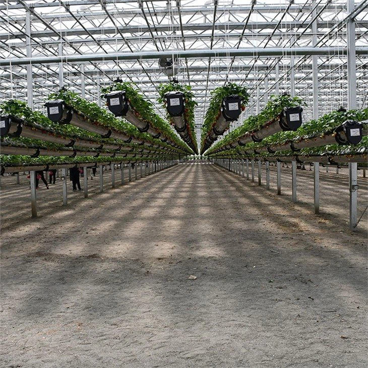Agricultural-training