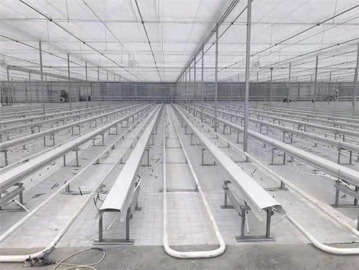 Weed-proof cloth green house
