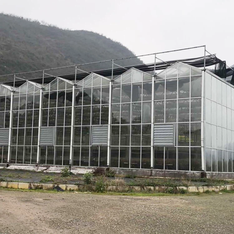 Muti-span Green Houses