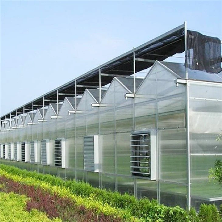 Project of Greenhouses
