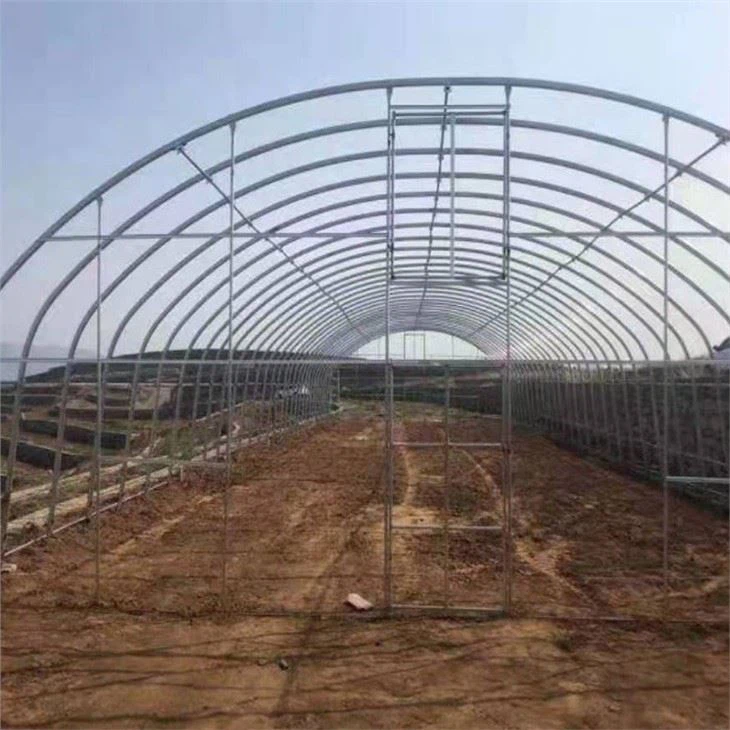 Singlespan Film Greenhouse