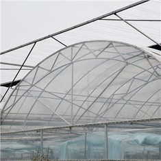 Филм Зелени къщи