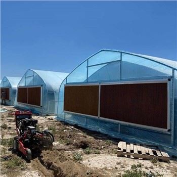 Гореща разпродажба Оранжерия за конопено растение