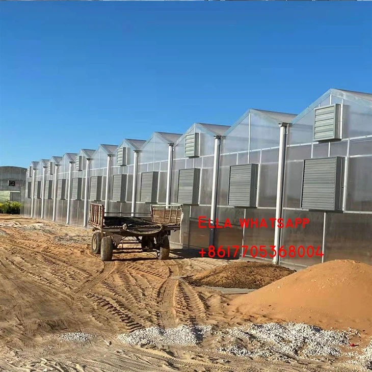 Agro Greenhouses