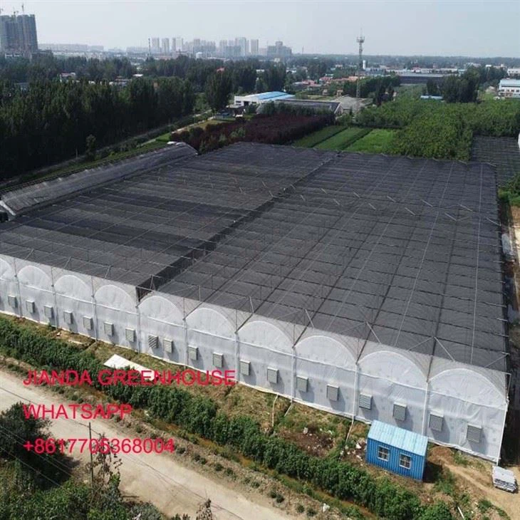 Agro Greenhouses
