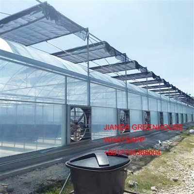 Класификация ТИП ОПАРНИК