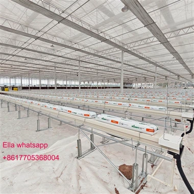 COCO PEAT ХИДРОПОНИЧНА СИСТЕМА