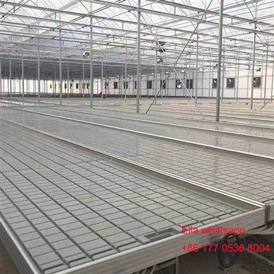 Изливане и поток NFT Хидропонична система за зеленчук